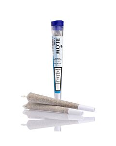 Joint Einzeln Strawberry Blau Light