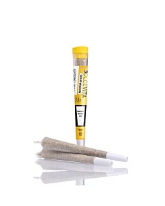 Joint Einzeln Sour Widow Gelb DOLCEVITA