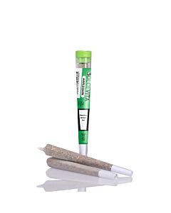 Joint Einzeln Harlequin Grün DOLCEVITA