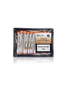 Joint 20er Schale Cannatonic Orange Papillon