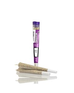 Joint Einzeln Limoncello Violett DOLCEVITA