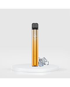 ELFBAR 600 V2 Elfturbo ICE