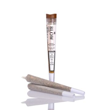 Joint Einzeln NLX Braun Light