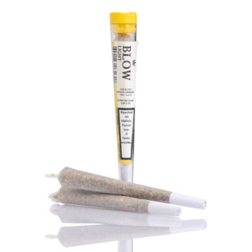 Joint Einzeln Sour Widow Gelb Light