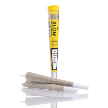 Joint Einzeln Sour Widow Gelb Next Generation