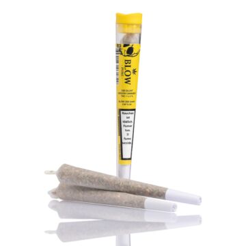 Joint Einzeln Sour Widow Gelb Pure