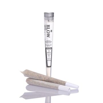 Joint Einzeln Silver Haze Grau Light