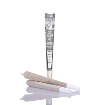 Joint Einzeln Silver Haze Grau Pure