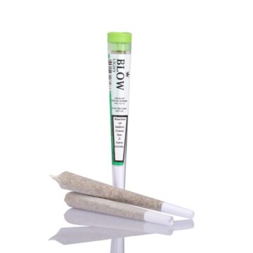 Joint Einzeln Harlequin Grün Light