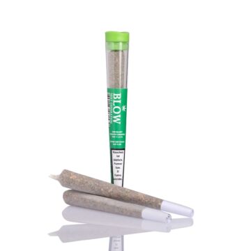 Joint Einzeln Harlequin Grün Next Generation