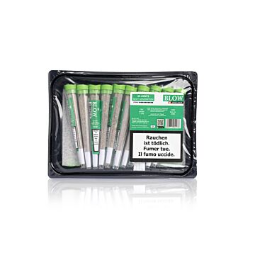 Joint 20er Schale Harlequin Grün Next Generation