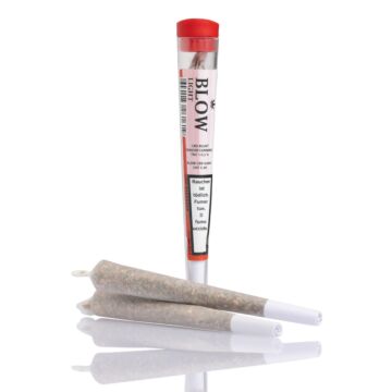 Joint Einzeln Cheese Rot Light