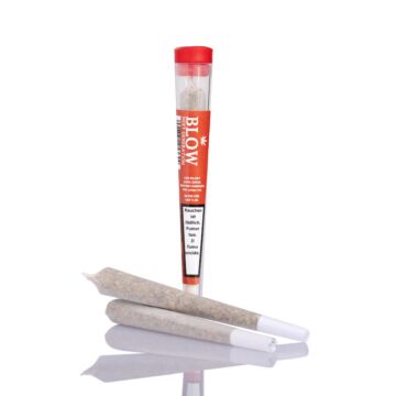 Joint Einzeln Cheese Rot Next Generation