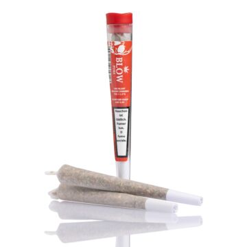 Joint Einzeln Cheese Rot Pure