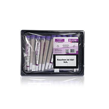 Joint 20er Schale Limoncello Violett Light