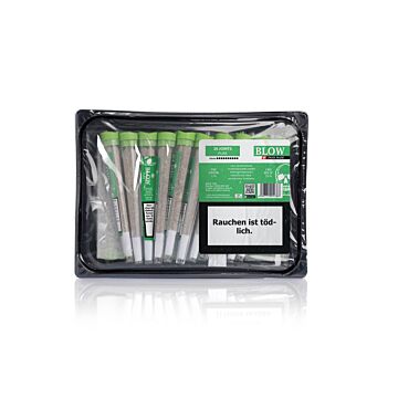 Joint 20er Packung Harlequin Grün Pure