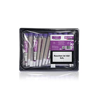 Joint 20er Schale Limoncello Violett Pure