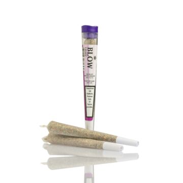 Joint Einzeln Limoncello Violett Light