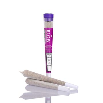 Joint Einzeln Limoncello Violett Next Generation