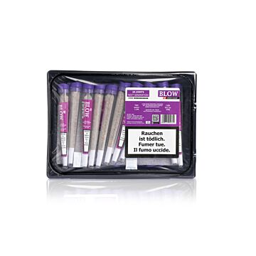 Joint 20er Schale Limoncello Violett Next Generation