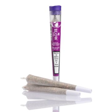 Joint Einzeln Limoncello Violett Pure