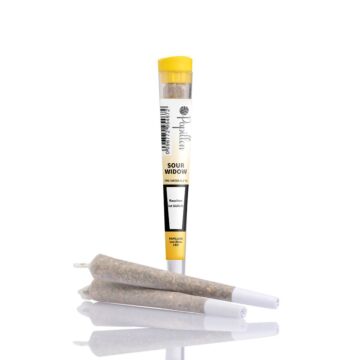 Joint Einzeln Sour Widow Gelb Papillon