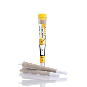 Joint Einzeln Sour Widow Gelb DOLCEVITA