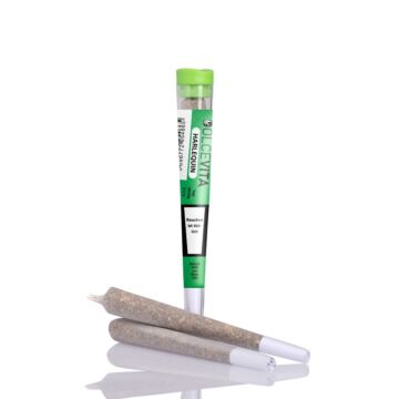 Joint Einzeln Harlequin Grün DOLCEVITA