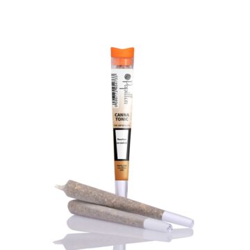 Joint Einzeln Cannatonic Orange Papillon