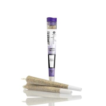 Joint Einzeln Limoncello Violett Papillon