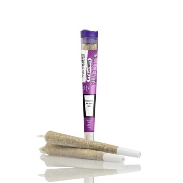 Joint Einzeln Limoncello Violett DOLCEVITA